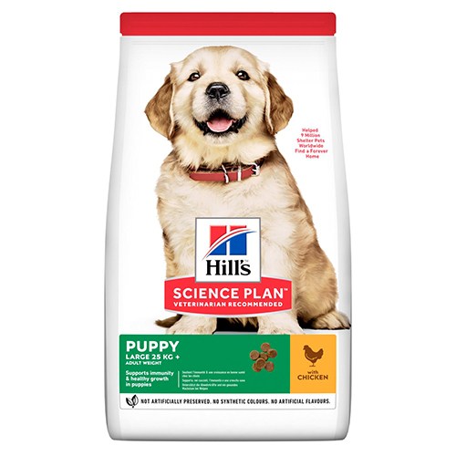 Puppy-large-breed