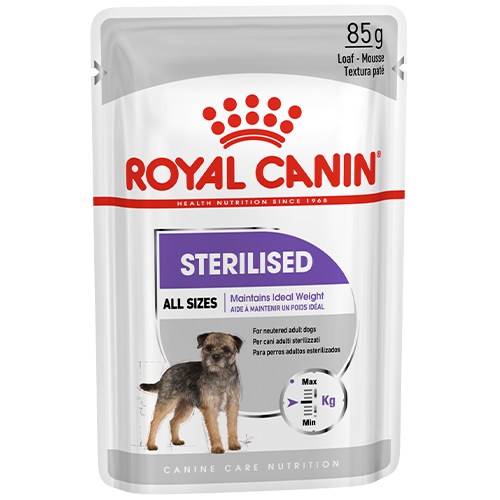 Royal-sterilized-dog