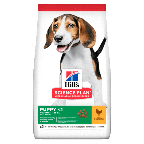Sausa bariba kuceniem Hills Medium Puppy