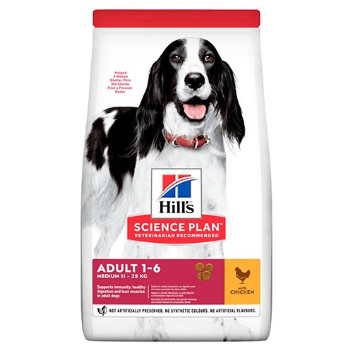 dog-medium-adult-chicken